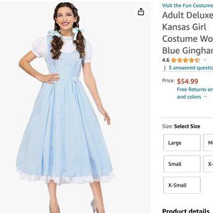 Dorothy Costume